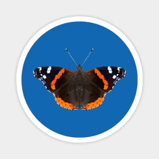 Red admiral butterfly Magnet